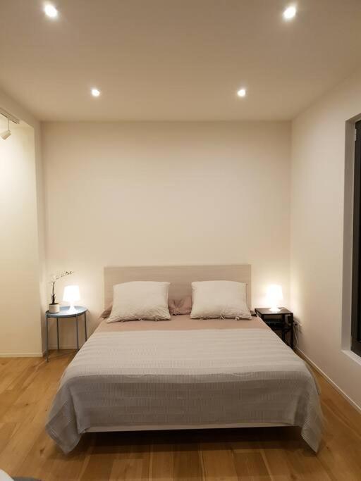 Experience The Loft! Loft 18, Downtown, Near The Lake Free Parking Available Lugano Zewnętrze zdjęcie